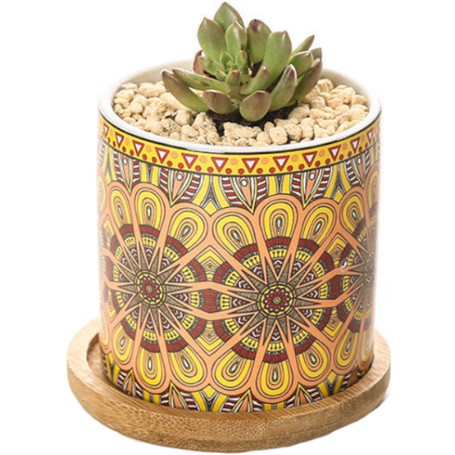(Yellow) Cute Mini Mandala Succulent Nordic Colour Pot