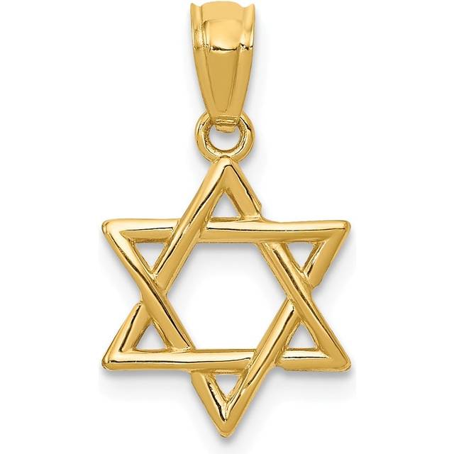 12 x 20 mm 14K Yellow Gold Polished Star of David Pendant