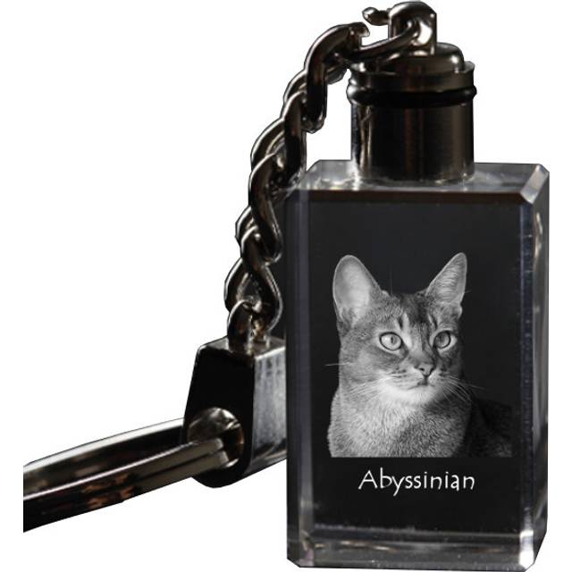 Abyssinian - Crystal pendant with cat photo, illuminated pendant, unique gift by Art-Dog brand transparent