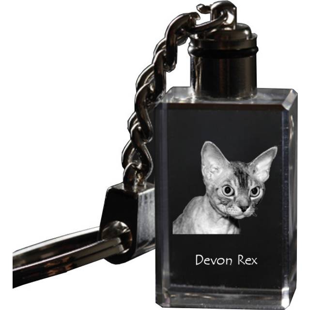 Devon Rex - Crystal pendant with cat photo, illuminated pendant, unique gift by Art-Dog brand transparent
