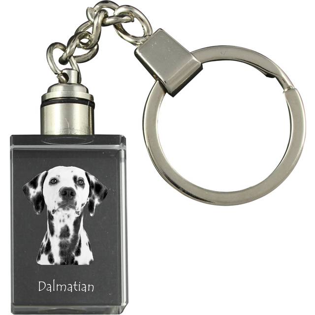 Dalmatian, Carriage Dog, Spotted Coach Dog - Crystal key ring with dog photo, illuminated key ring, unique gift by Art-Dog brand transparent
