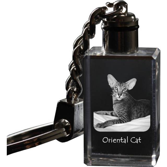 Oriental - Crystal pendant with cat photo, illuminated pendant, unique gift by Art-Dog brand transparent