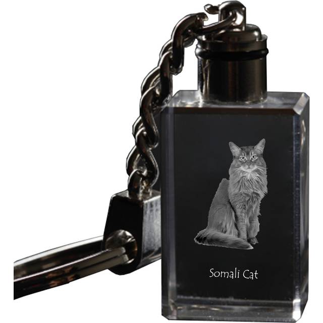 Somali - Crystal pendant with cat photo, illuminated pendant, unique gift by Art-Dog brand transparent