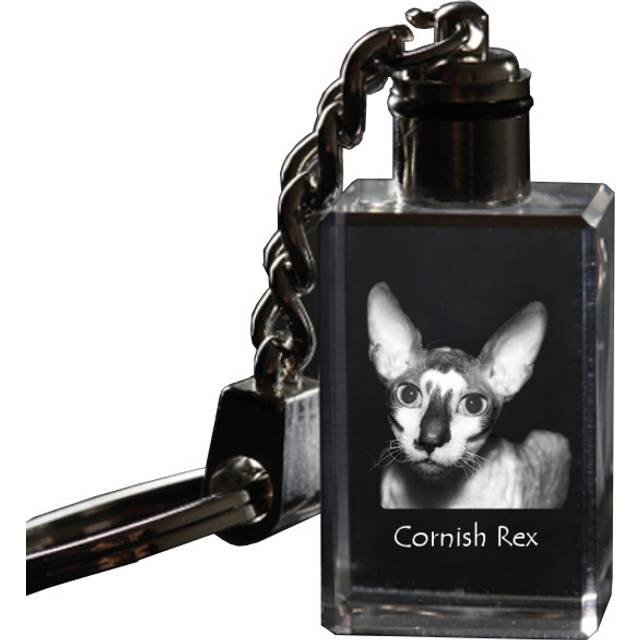 Cornish Rex - Crystal pendant with cat photo, illuminated pendant, unique gift by Art-Dog brand transparent