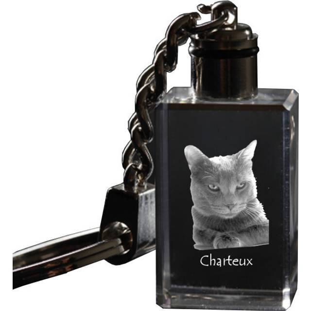 Chartreux - Crystal pendant with cat photo, illuminated pendant, unique gift by Art-Dog brand transparent