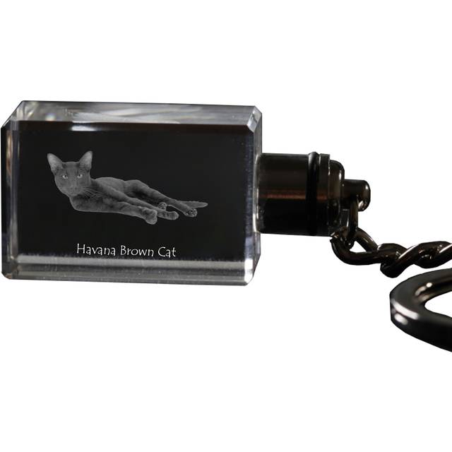Havana Brown - Crystal pendant with cat photo, illuminated pendant, unique gift by Art-Dog brand transparent