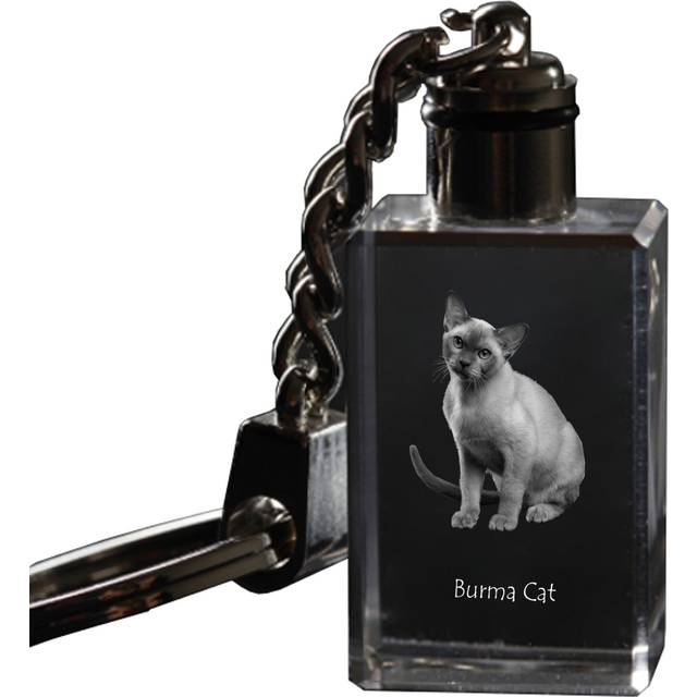 Burma Cat - Crystal pendant with cat photo, illuminated pendant, unique gift by Art-Dog brand transparent