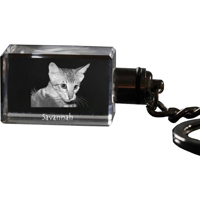Savannah - Crystal pendant with cat photo, illuminated pendant, unique gift by Art-Dog brand transparent