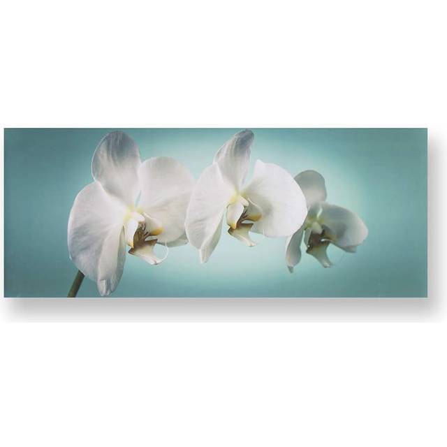Art For The Home Teal Orchid Canvas - Print
