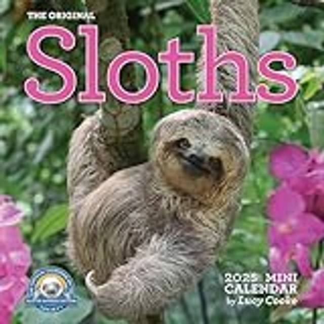 Sloths 2025 Mini Wall Calendar