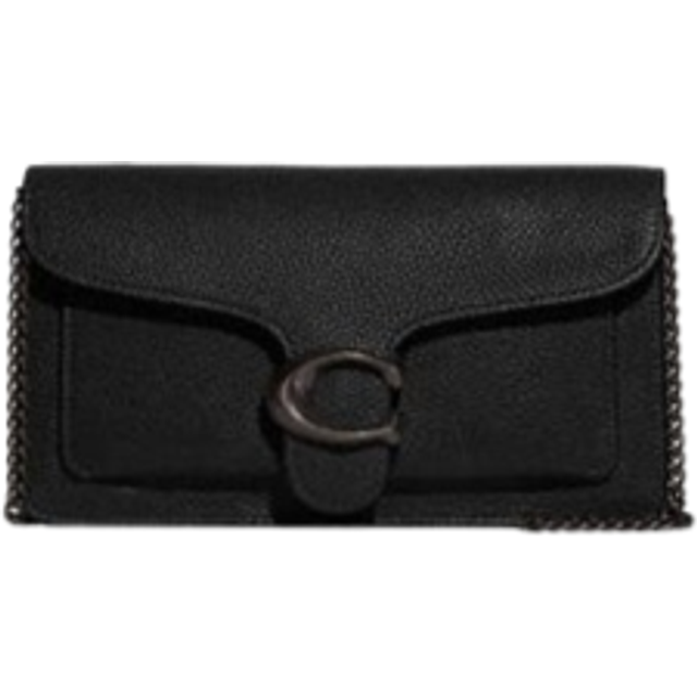 Tabby Chain Clutch
