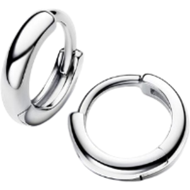 Pandora  Earrings Hug Round Hoop Earrings 293286C00