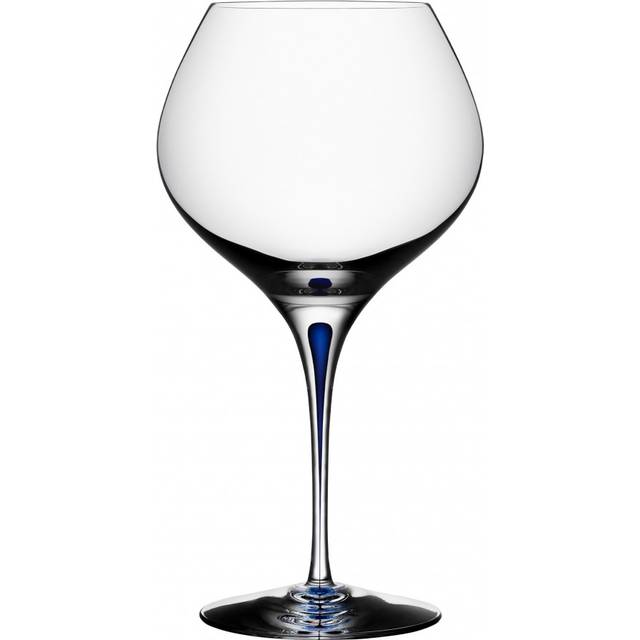 Orrefors Intermezzo Bouquet vinglas 70 cl Blå