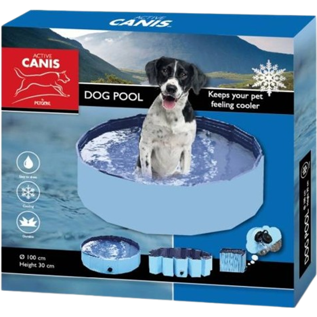 Dog Pool