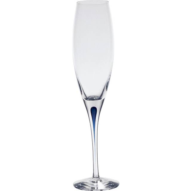 Intermezzo Blå Champagneglas, 26cl - Orrefors