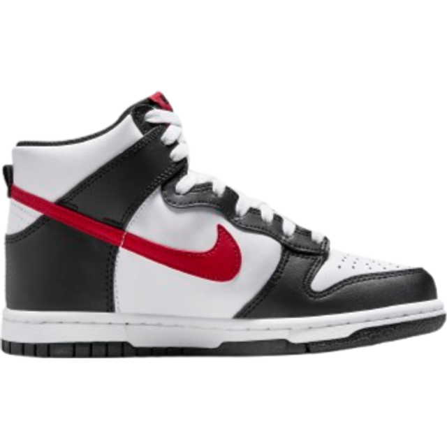 Nike hotsell Dunk Hi (GS)