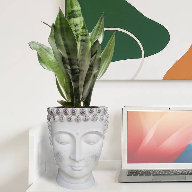 Buddha Head Small Planter, Concrete Effect Indoor Plant Pot, Face Flower Pot, Decorative Pot Cover - White (34cm H x 26.5cm W x 25cm D)