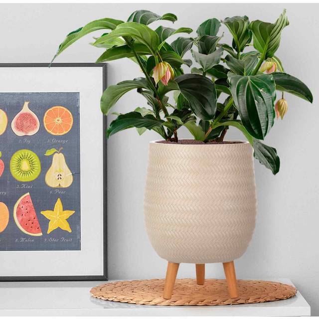 Concrete Effect Planter on Hardwood Legs, Round Indoor Plant Pot Stand for Indoor Plants, Indoor Flower Pot with Plaited Pattern - White (34cm H x 22cm W x 22cm D)
