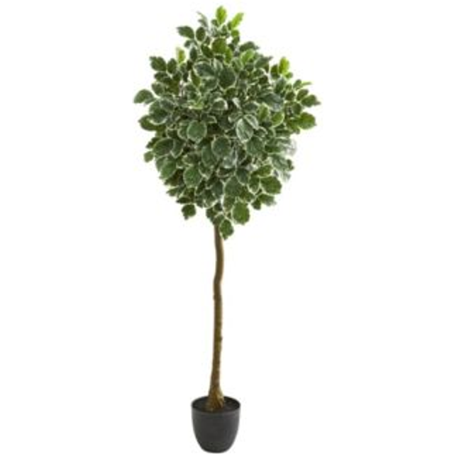 6 Variegated Aralia Artificial Tree