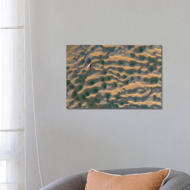 Splendid Isolation II by Adam Burton - Wrapped Canvas Photograph (66.04 cm H x 45.72 cm W x 3.175 cm D)