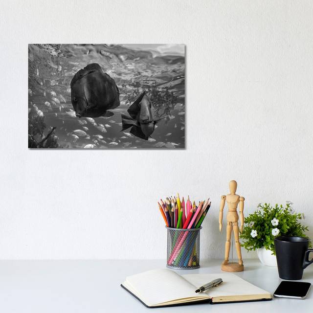 Butterflyfish pair and Blue Chromis, Balicasag Island, Philippines - Canvas (20.32 cm H x 30.48 cm W)