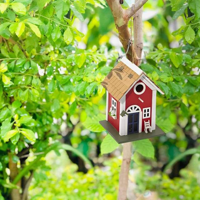 Radom Hanging Birdhouse - Blue;Green;Red (25cm H X 18.5cm W X 18.5cm D)
