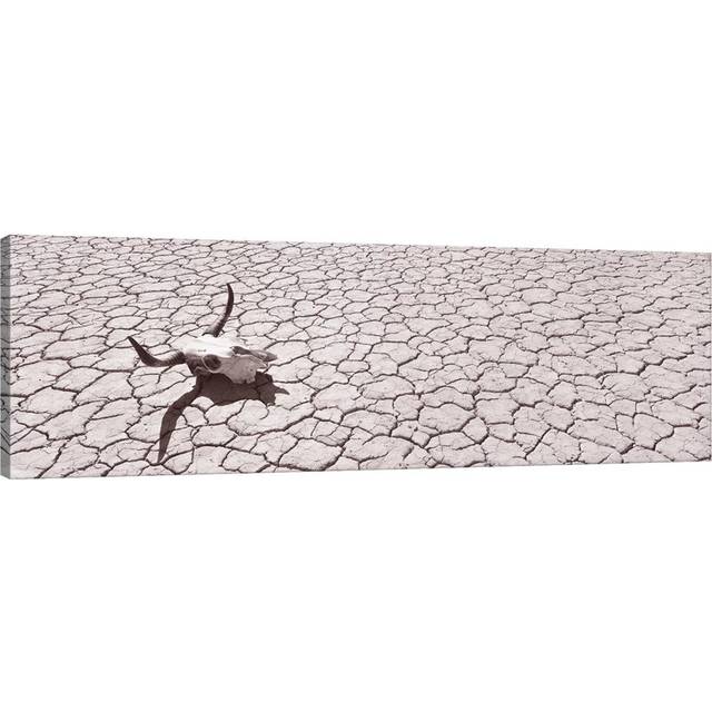 Skull on Desert Floor, USA, California, Mojave Desert by Panoramic Images - Wrapped Canvas Panoramic Photograph (152.4 cm H x 50.8 cm W x 1.91 cm D)