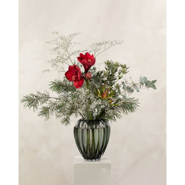 6 månader med blommor