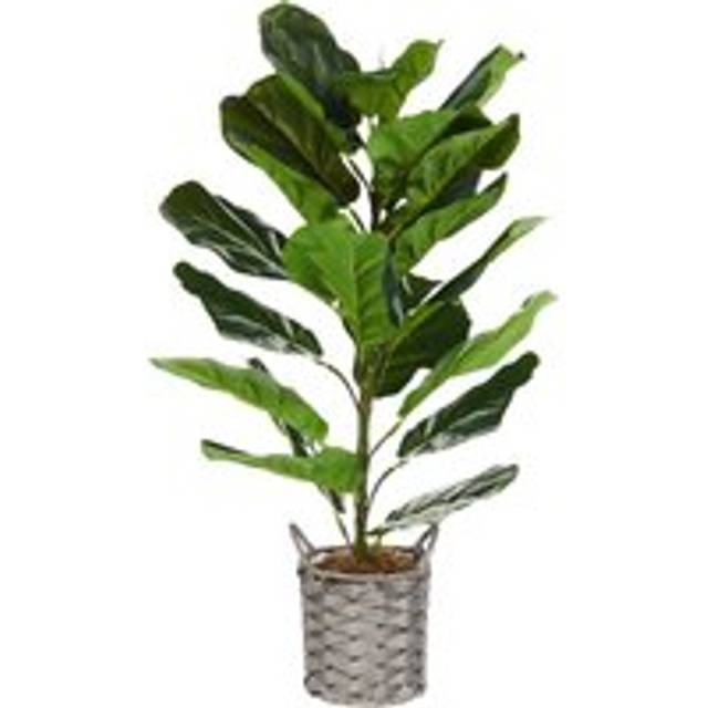 Konstgjord växt Fiddle Leaf Tree - Balkongblommor Grön,Svart