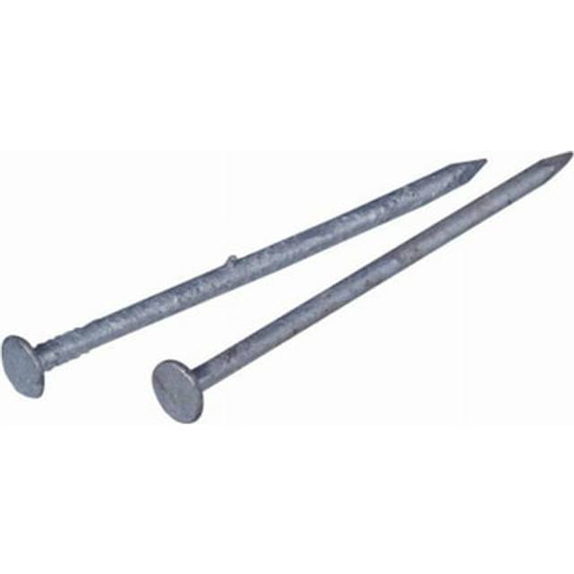 461279 2 in. 6D Galvanized Common Nail