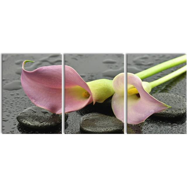 Pink Calla Lilies in the Rain 3-Piece Photograph Set on Canvas (80cm H x 180cm W)