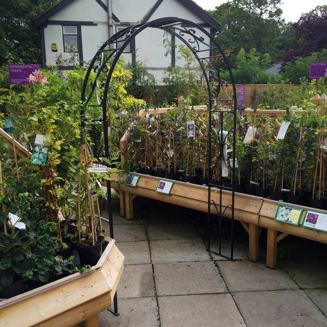 Medway Arch - Black (218cm H X 137cm W X 30cm D)
