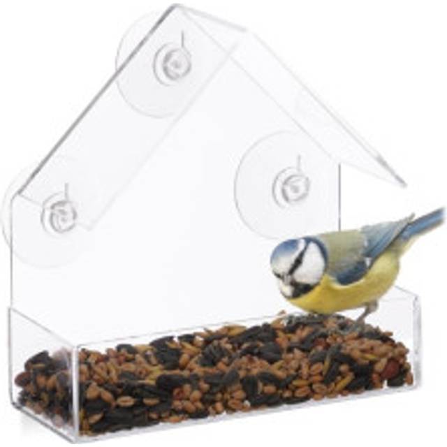 Bird feeder window