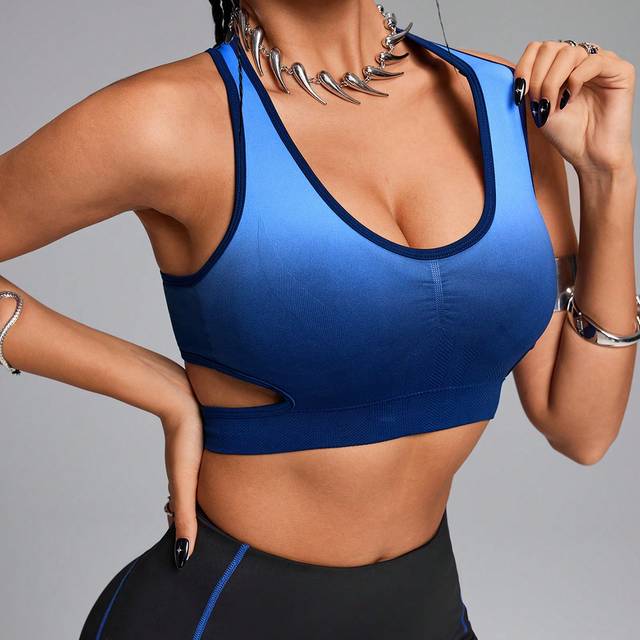 SHEIN Women&#39;s Seamless High Elastic Breathable Gradient Sport Woman Bras, Workout Sports Tank Top ,Crop Tank Top, High Elastic Support Sports Bra,Gym Top,Wo