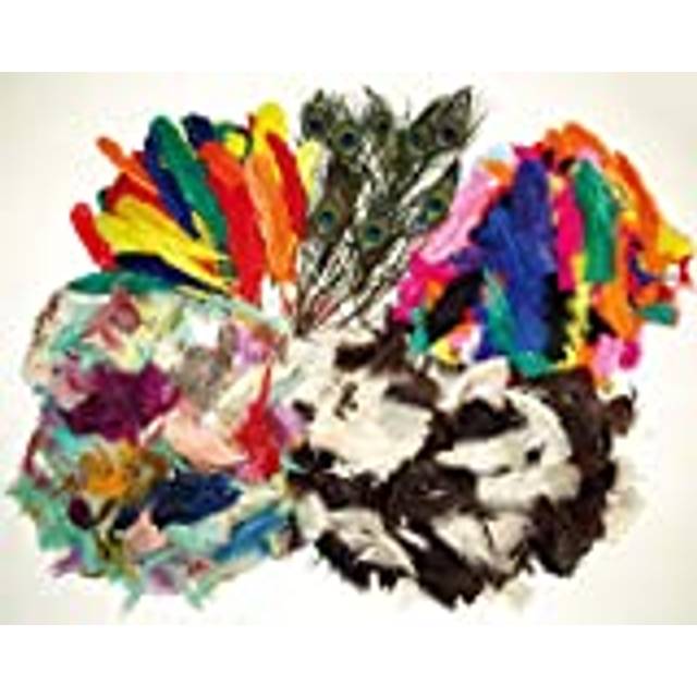 EV220 Feathers Value Classpack for Children to Decorate Arts and Crafts (Pack of 600)