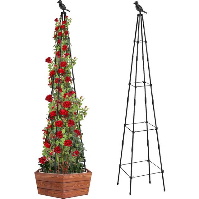 Bolyard Metal Plant Support - Black (165cm H X 30cm W X 30cm D)