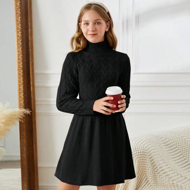SHEIN Teen Girls Black Casual Fitted Long Sleeve A-Line High Neck Sweater Dress