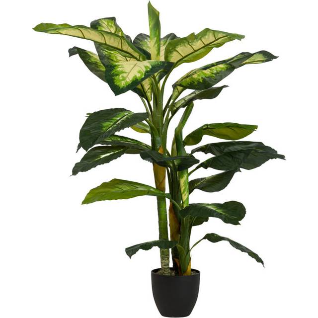 DIEFFENBACHIA DOTIED PLANT WITH POT 55X55x130 CM - BLACK (330.2cm H X 139.7cm W X 139.7cm D)