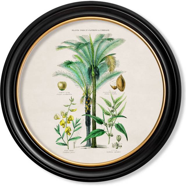 Plants Used As Food by Mid-1800s - Single Picture Frame Print on Archival Matt 230gsm Paper - black;blue;brown;gold;green;orange;pink; (722.58cm H X 722.58cm W)