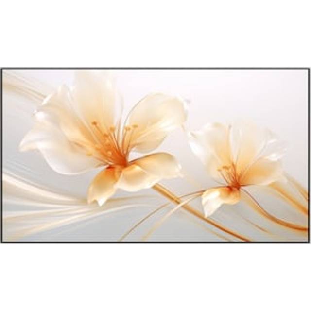 Xgimi 100" UST ALR Screen