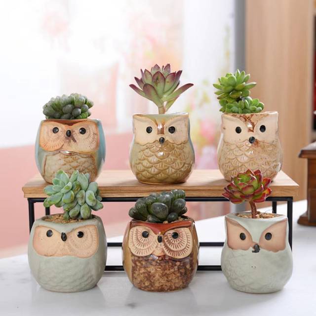 TEMU 6pcs/set Owl Pot Ceramic Flowing Glaze Base Serial Set Succulent Plant Pot Cactus Plant Pot Flower Pot Container Planter With Drainage Hole Home Office Desk Garden Gift, 2.4cm/2.4inch