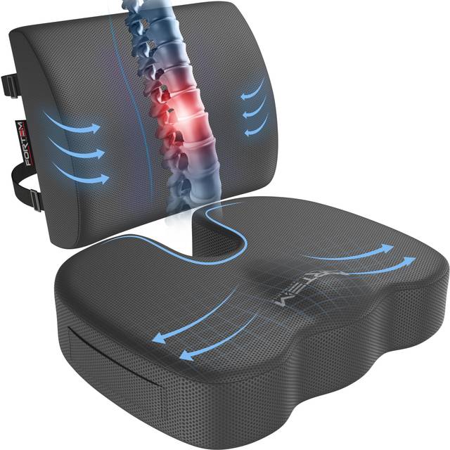 FORTEM Seat Cushion and Lumbar Support for Office Chair, Desk Chair Cushion, Memory Foam Office Chair Cushion, Non Slip Sitting and Back Pillow for Ga