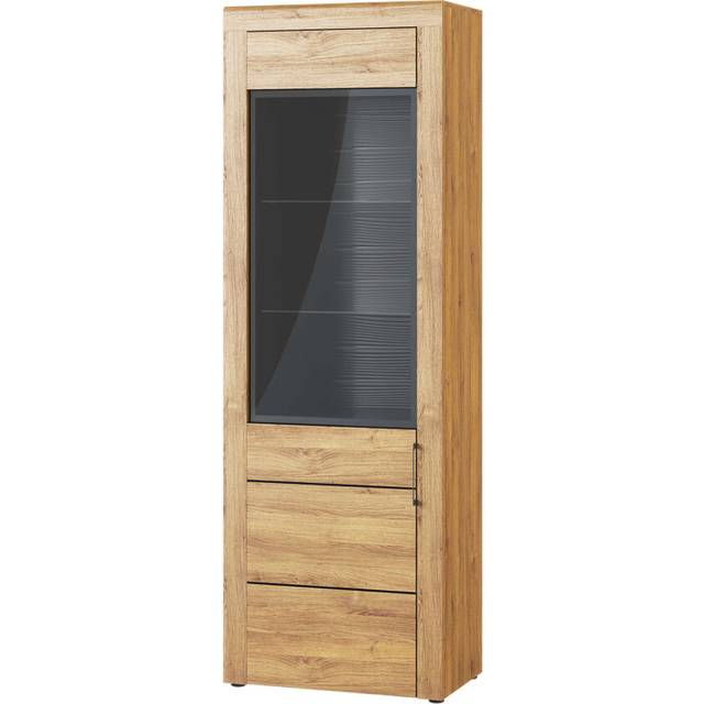 Aniyah Curio Cabinet with Lighting (199cm H X 67cm W X 40cm D)