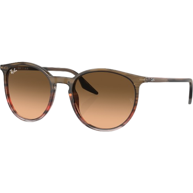Ray - Ban Unisex RB2204 13953B Solglasögon Acetat Brun Rosa Pantor Normal Skuggad