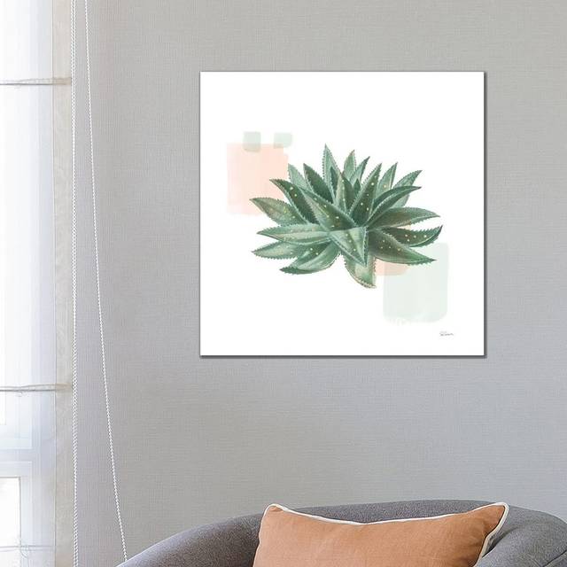 Desert Color Succulent II Mint by Sue Schlabach - Gallery-Wrapped Canvas Giclée on Canvas (66.04cm H x 66.04cm W x 1.905cm D)