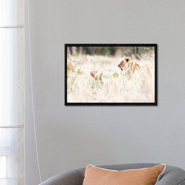 Lioness With Baby Cub In Grasslands by Susan Richey - Gallery-Wrapped Canvas GiclÃ©e on Canvas - Black Framed (45.72cm H x 66.04cm W x 3.81cm D)