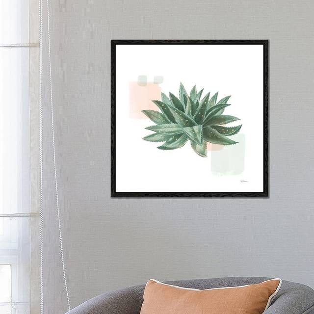 Desert Color Succulent II Mint by Sue Schlabach - Gallery-Wrapped Canvas Giclée on Canvas - Black Floater Framed (66.04cm H x 66.04cm W x 3.81cm D)