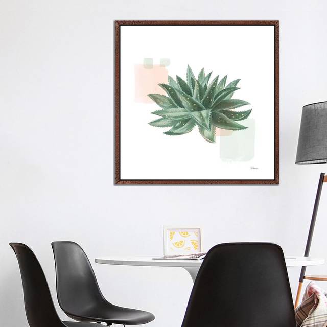 Desert Color Succulent II Mint by Sue Schlabach - Gallery-Wrapped Canvas Giclée on Canvas - Classic Wood Floater Framed (93.98cm H x 93.98cm W x 3.81cm D)