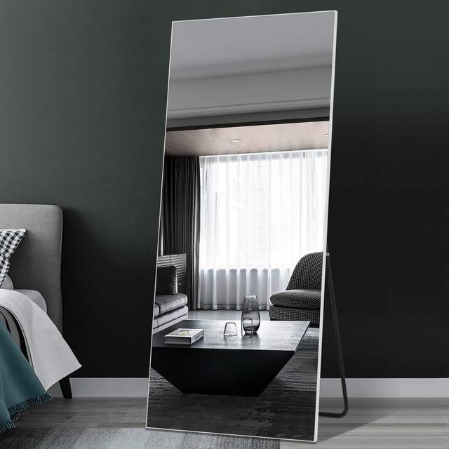 Coletti Magnifying Full Length Mirror - Silver (165.1cm H X 55.88cm W X 2.54cm D)
