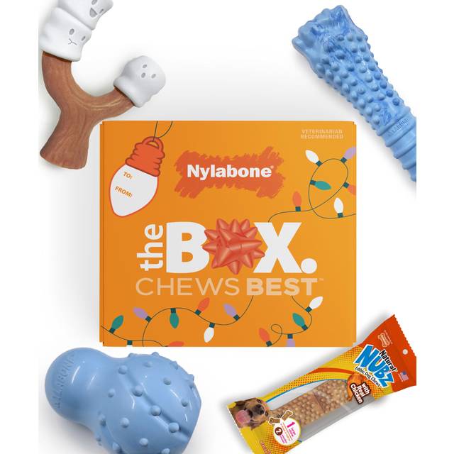 Nylabone Dog Gift Box  Includes 3 Rubber Strong Chew Toys and 1 Natural Treat  Gifts for Dogs  Large - Up to 50 lbs  4 Pack
